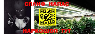 сатива Кулебаки